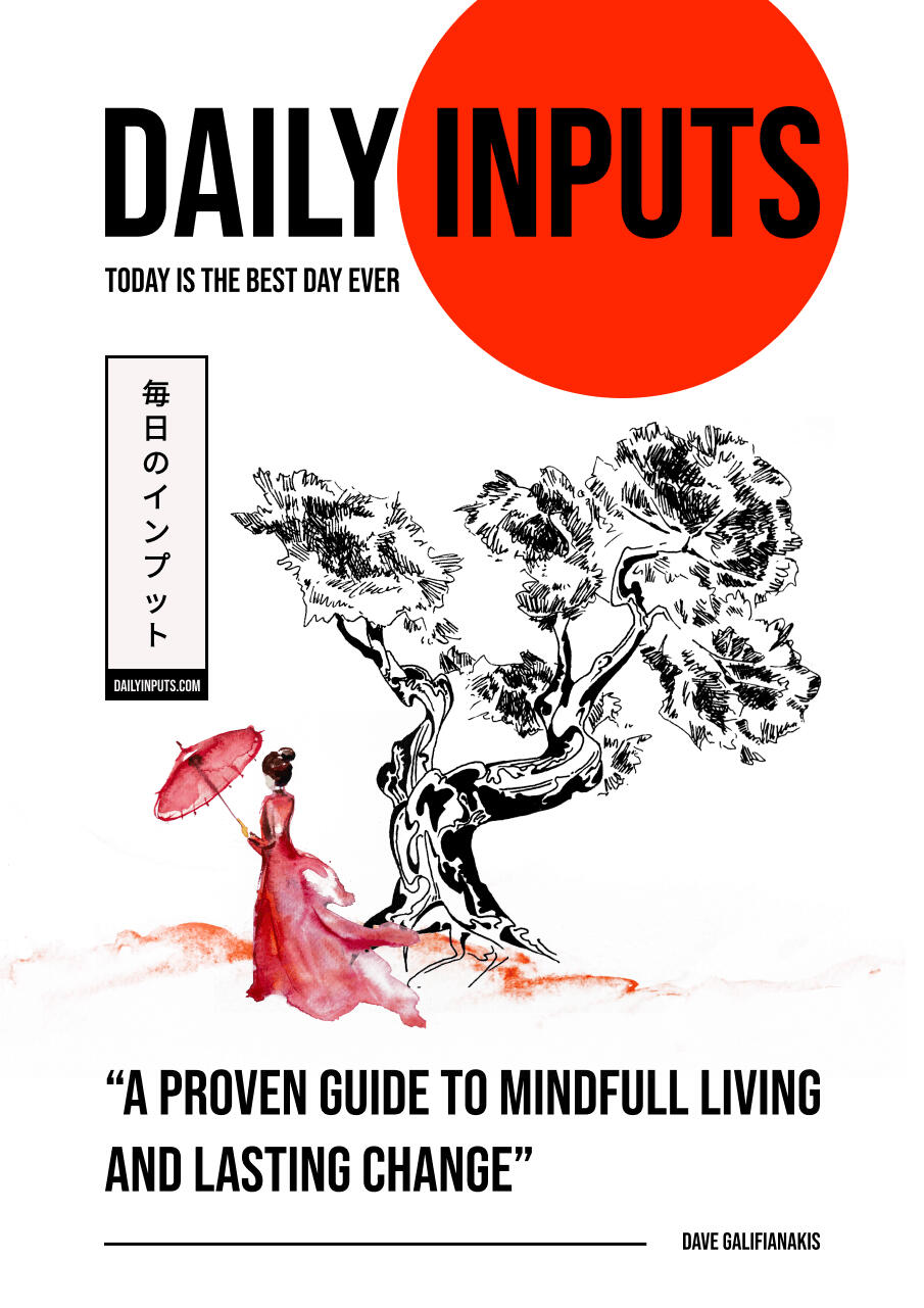 "Daily Inputs" book cover featuring a modern Japanese-inspired design with bold typography and watercolor elements.